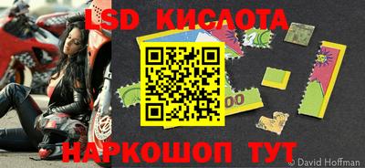 тгк Кингисепп