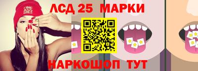 тгк Кингисепп