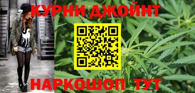тгк Кингисепп