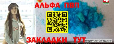 тгк Кингисепп