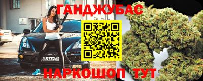 тгк Кингисепп