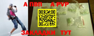 тгк Кингисепп