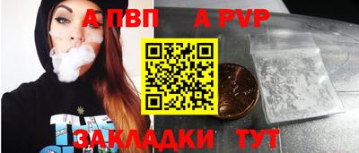 тгк Кингисепп