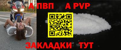 тгк Кингисепп