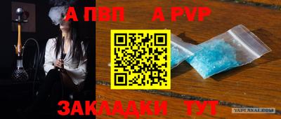 тгк Кингисепп