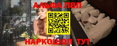 тгк Кингисепп