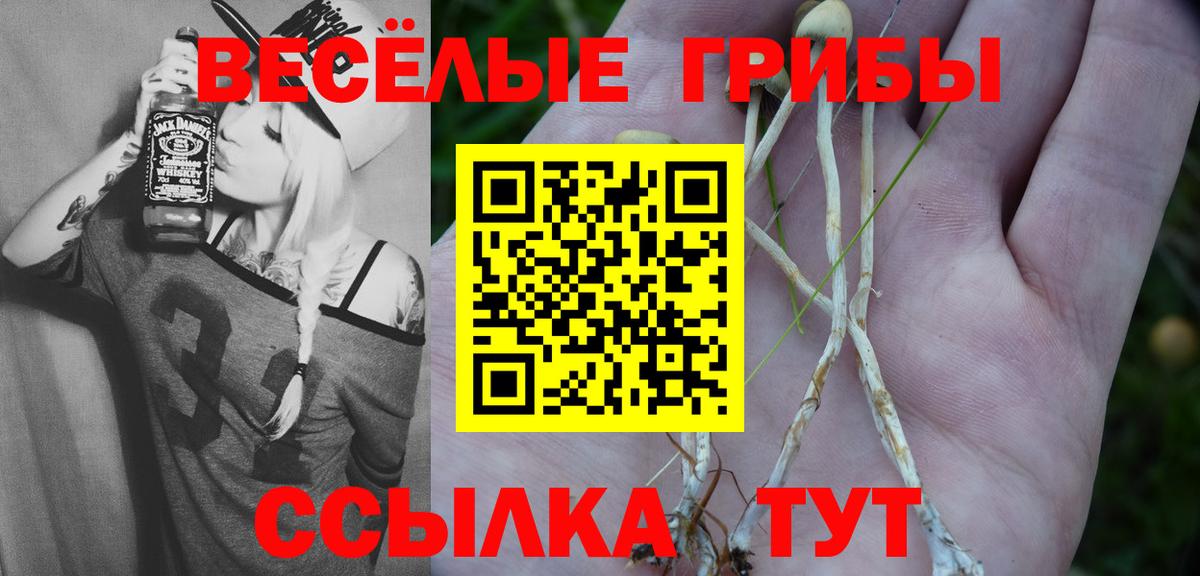 Галлюциногенные грибы мухоморы  Вход с VPN  где продают наркотики  Морозовск  Псилоцибиновые грибы мухоморы 