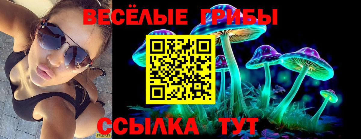 Псилоцибиновые грибы мухоморы Морозовск
